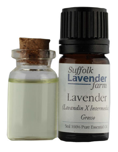 Lavender (Grosso) 100% Pure Essential Oil